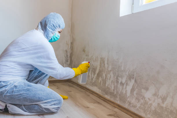 Mold Remediation specialist working in Graham