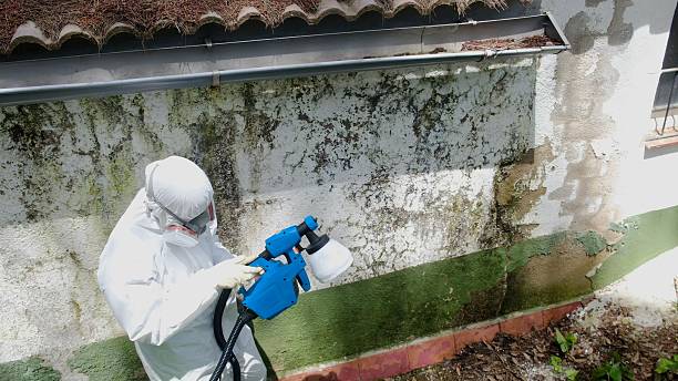 Mold Remediation service in Graham, Graham, WA